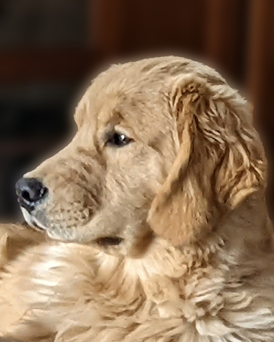 ace, Charm City’s Royal Flush at True Magic