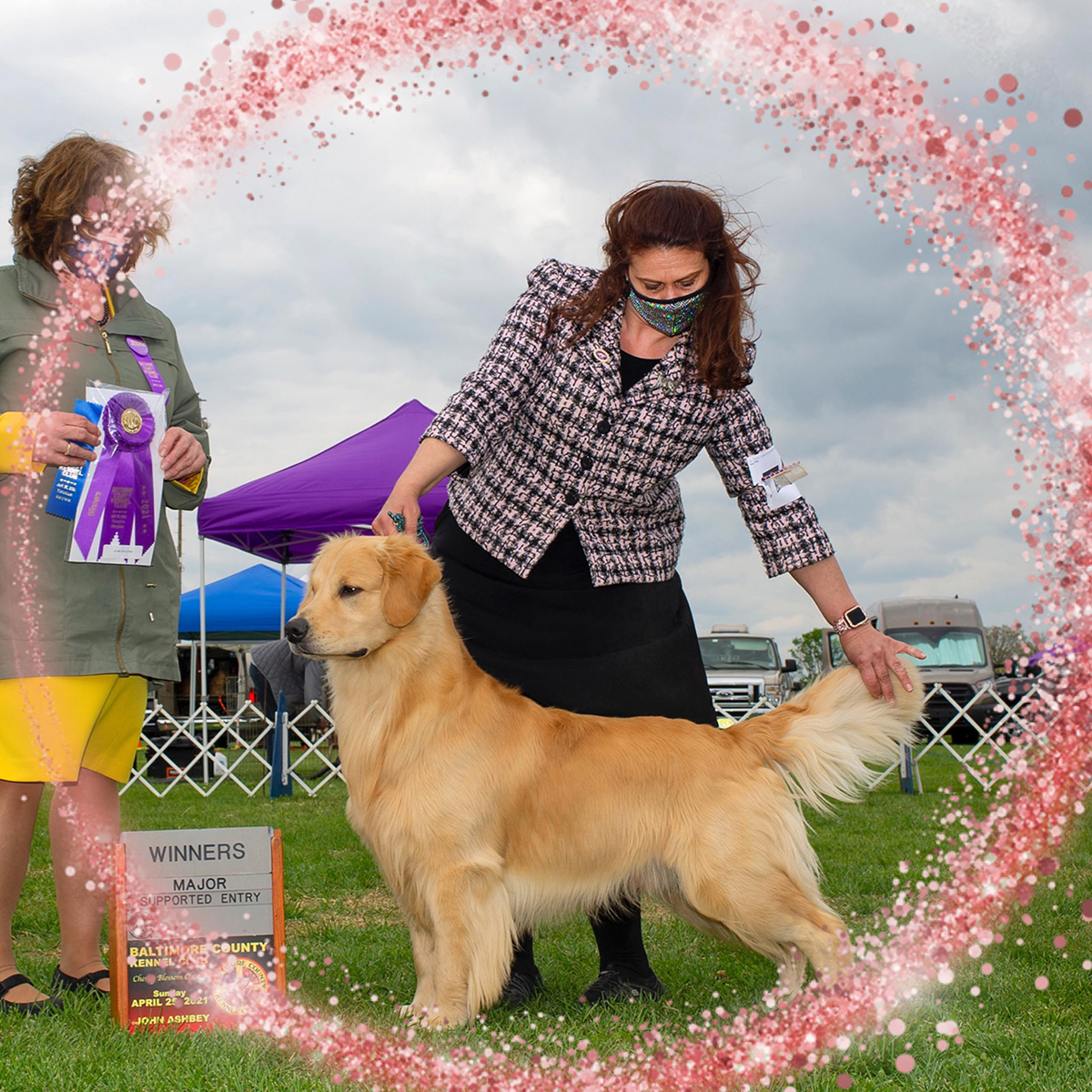 amy showing ready winning wd