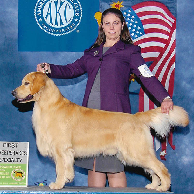 charm city golden retrievers hunter