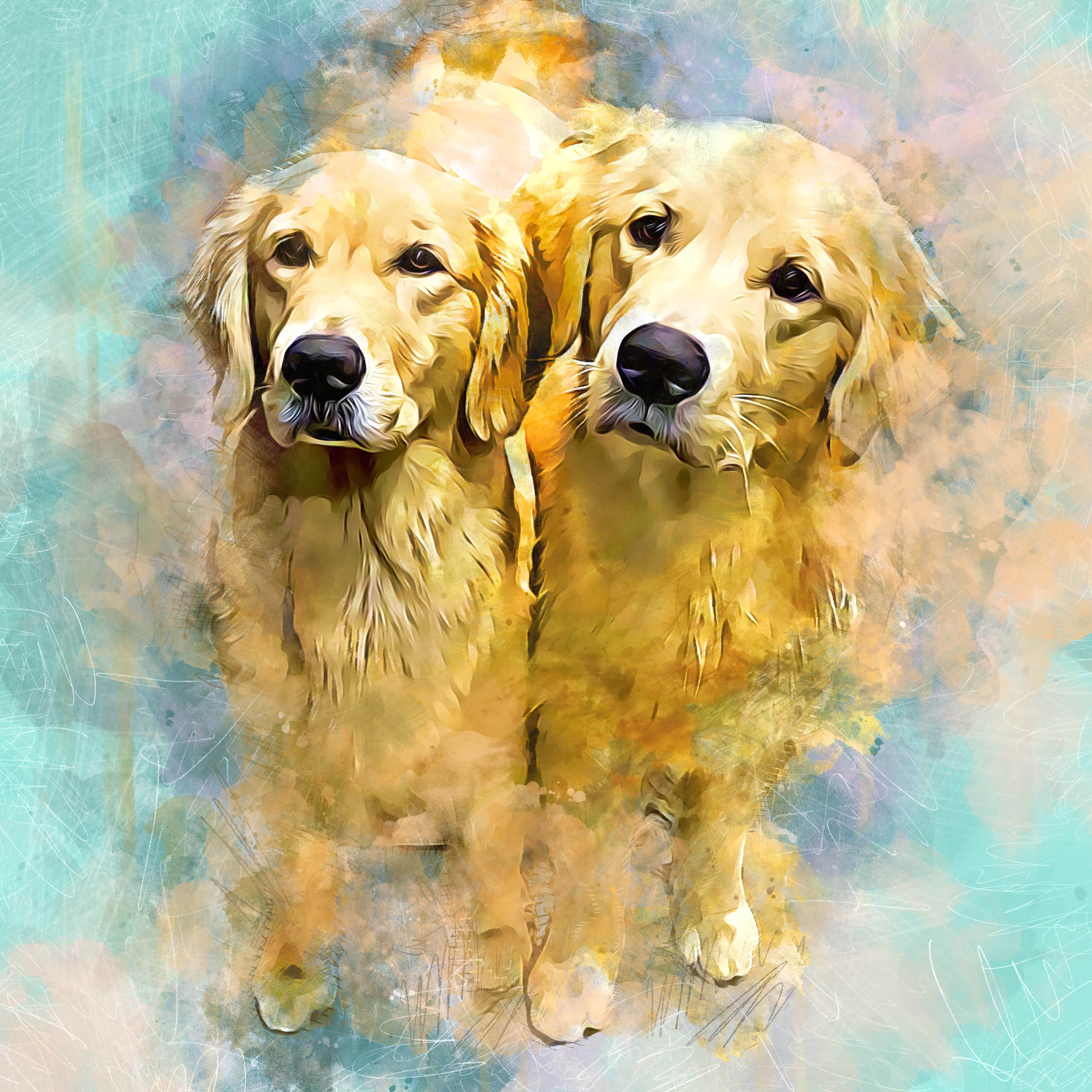 charm city golden retrievers gallery photo3