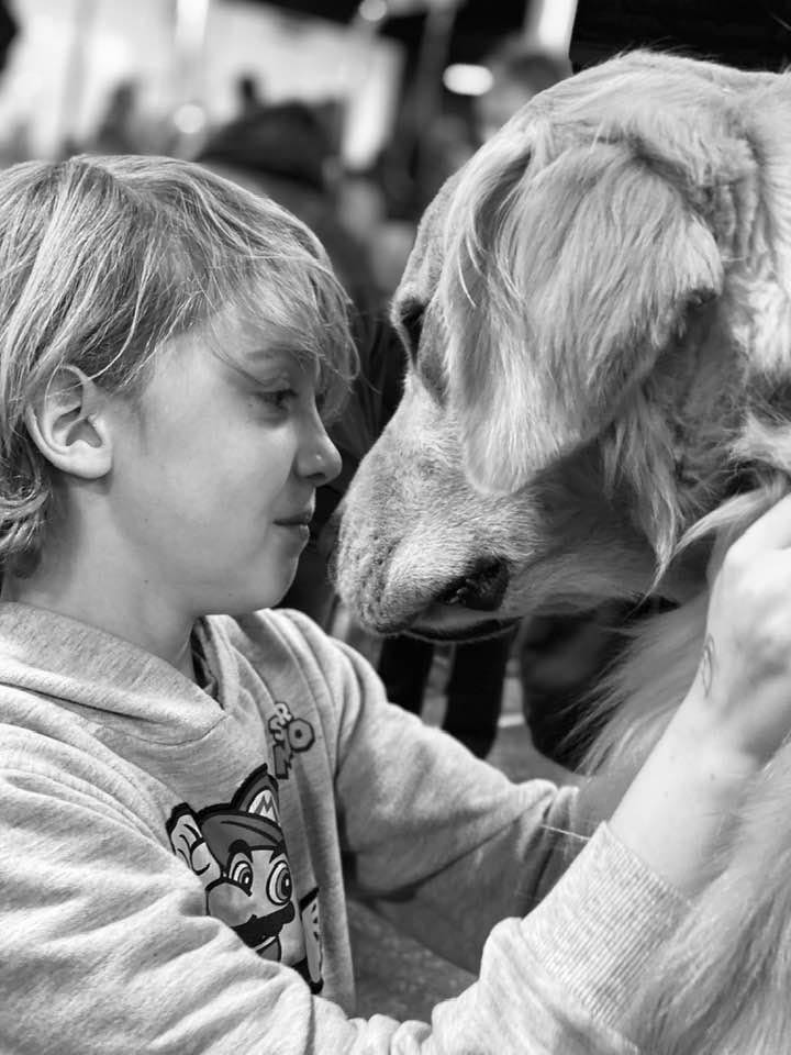 charm city golden retrievers ready and little boy black and white photo