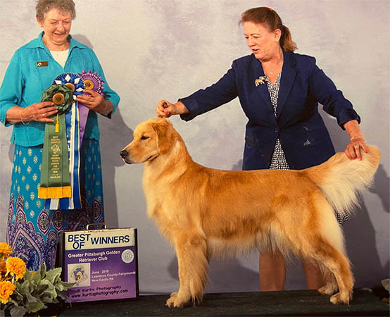 gabi best of winners