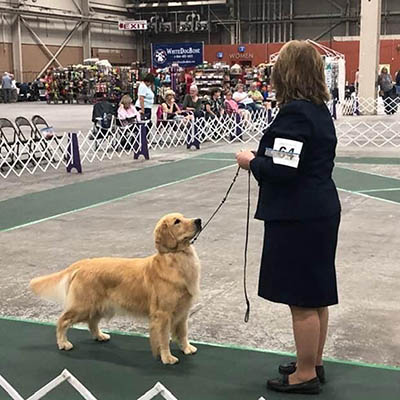 gabi and jen showing