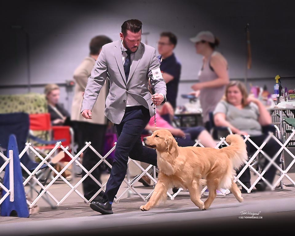 CH Charm City's Marvelous Miss Maisel movement at the chesapeake grc specialty