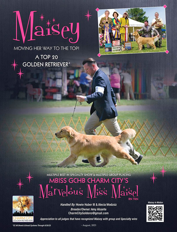 CHB Charm City's Marvelous Miss Maisel, Maisey's Canine Chronical Ad