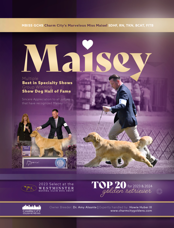 CHB Charm City's Marvelous Miss Maisel, Maisey canine chronical ad 2024