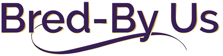 bred-by charm city golden retrievers